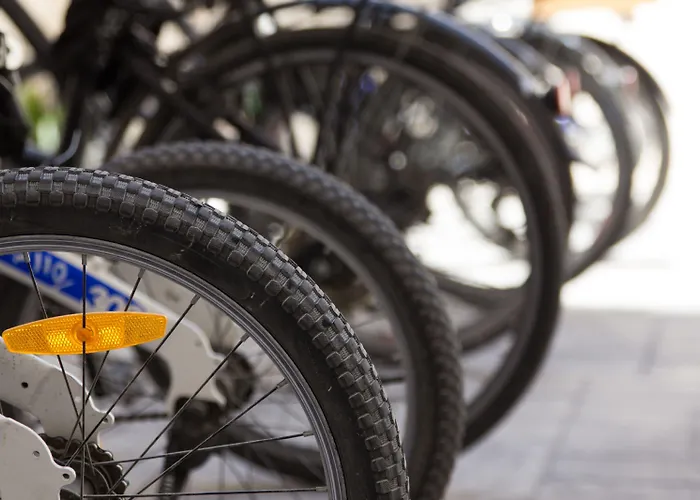 巴伦西亚索霍公寓式酒店 4*